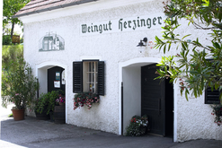 Weingut Herzinger
