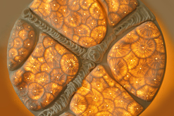illumagie