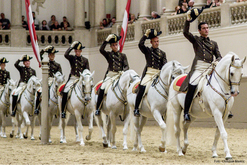 Spanische Hofreitschule