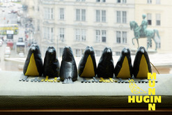 design petra stelzmüller
