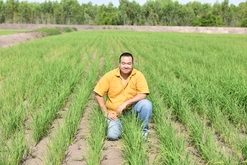 MEISTERSTRASSE_SRISANGDAO RICE_Sinsamut_Srisaenpang