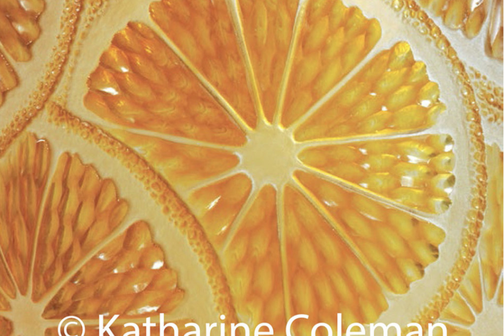 MEISTERSTRASSE_Katharine Coleman_Katharine_Coleman