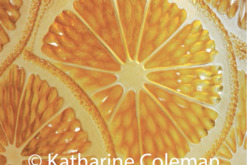 Katharine Coleman