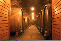 Umathum Weingut