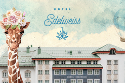 Hotel Edelweiss in Zürs
