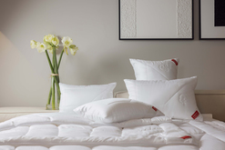 MEISTERSTRASSE_HEFEL PREMIUM BETTWAREN__